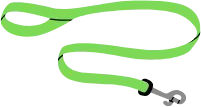 Leash