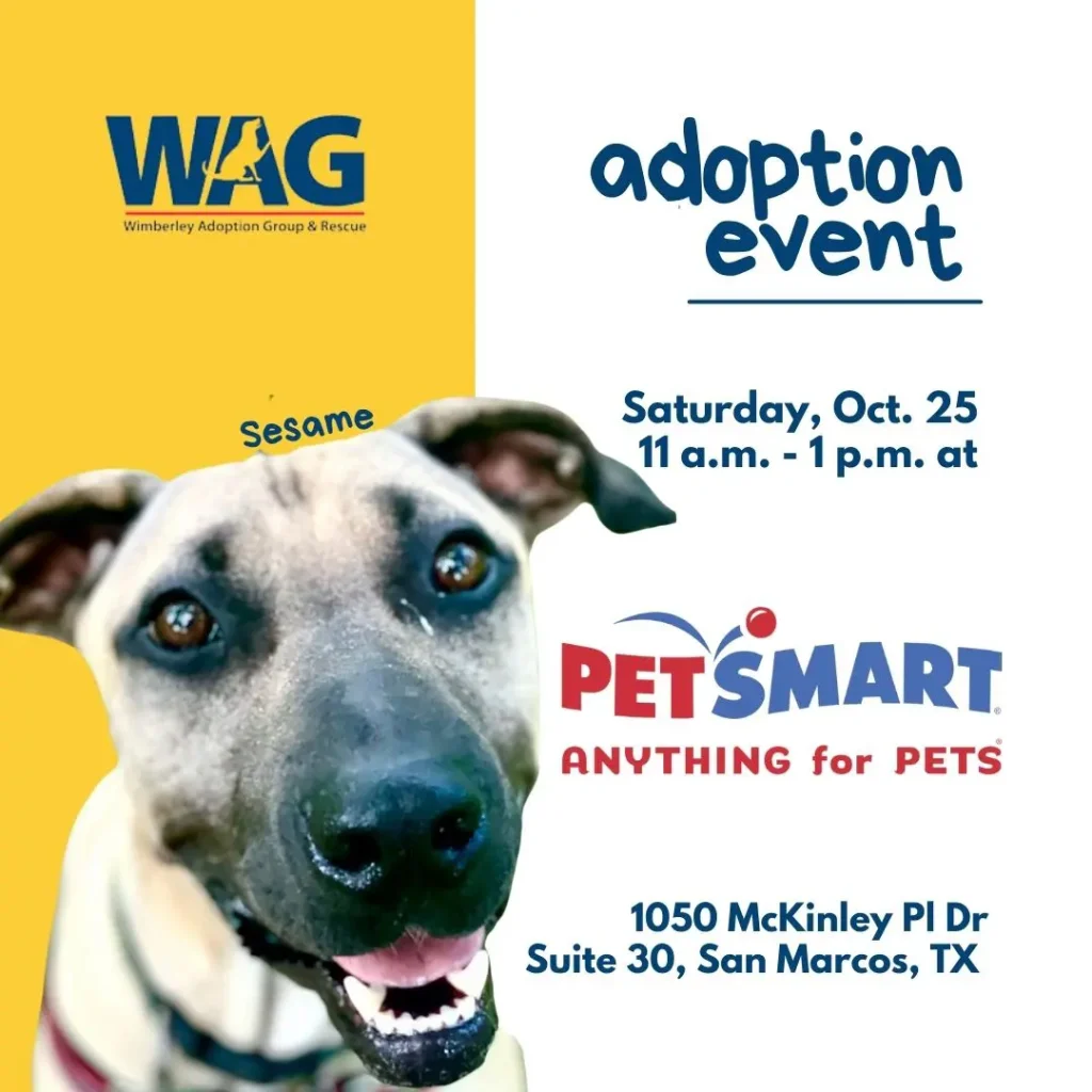 Adoption Days