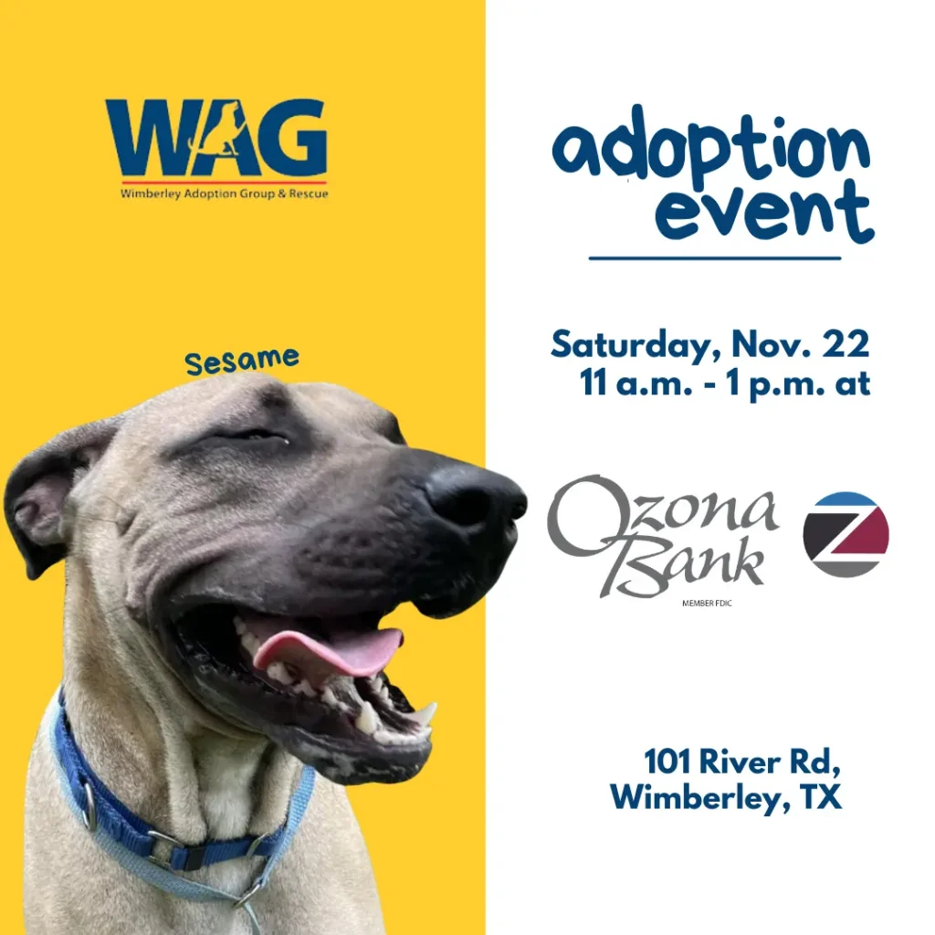 Adoption Event 11/22/2025