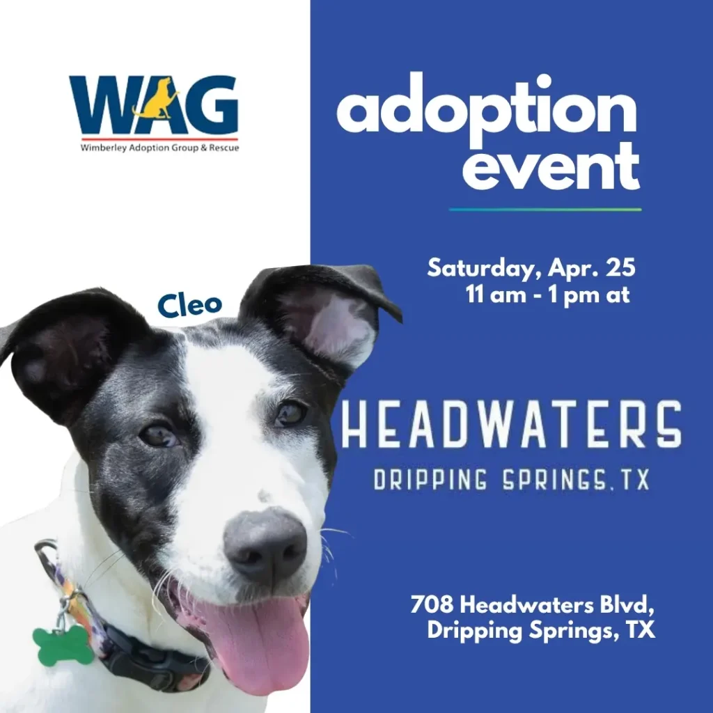 Adoption Event, April 25, 2026