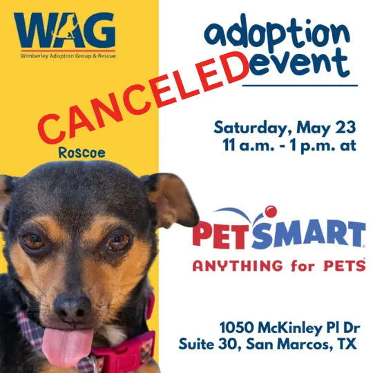 Cancelled - Adoption Event, May 23, 2026