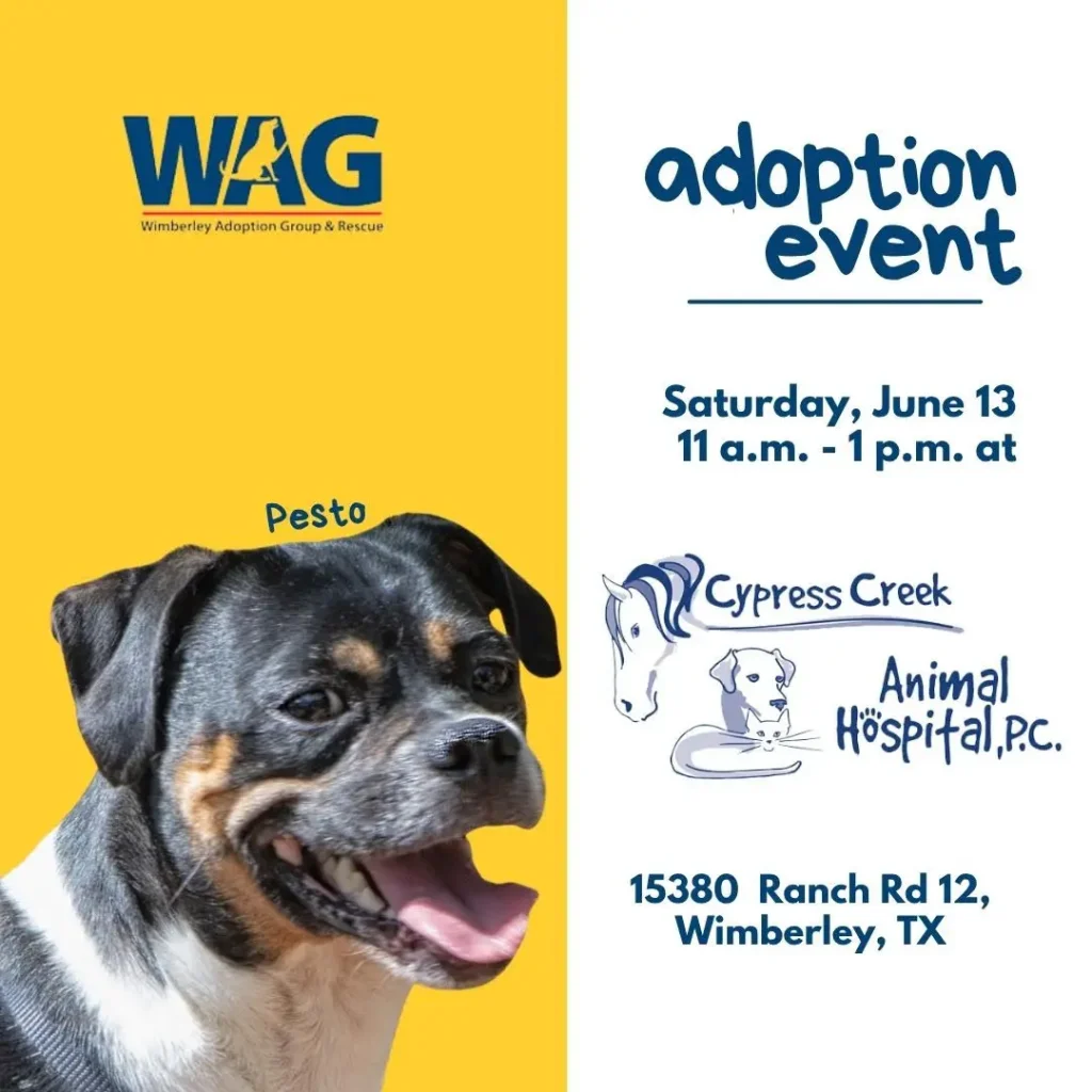 Adoption Event - June 13, 2026