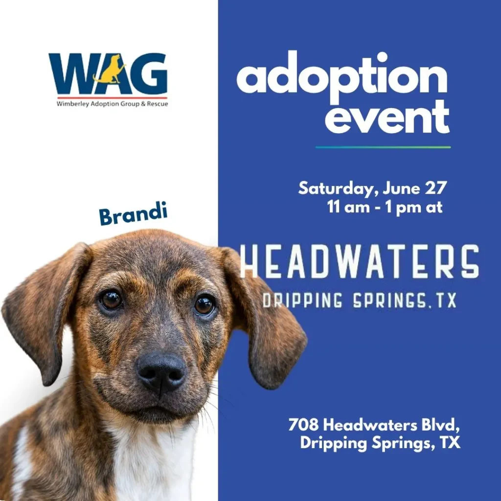 Adoption Event - June 27, 2026