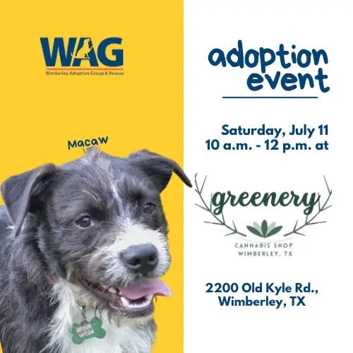 Adoption Event - July 11, 2026