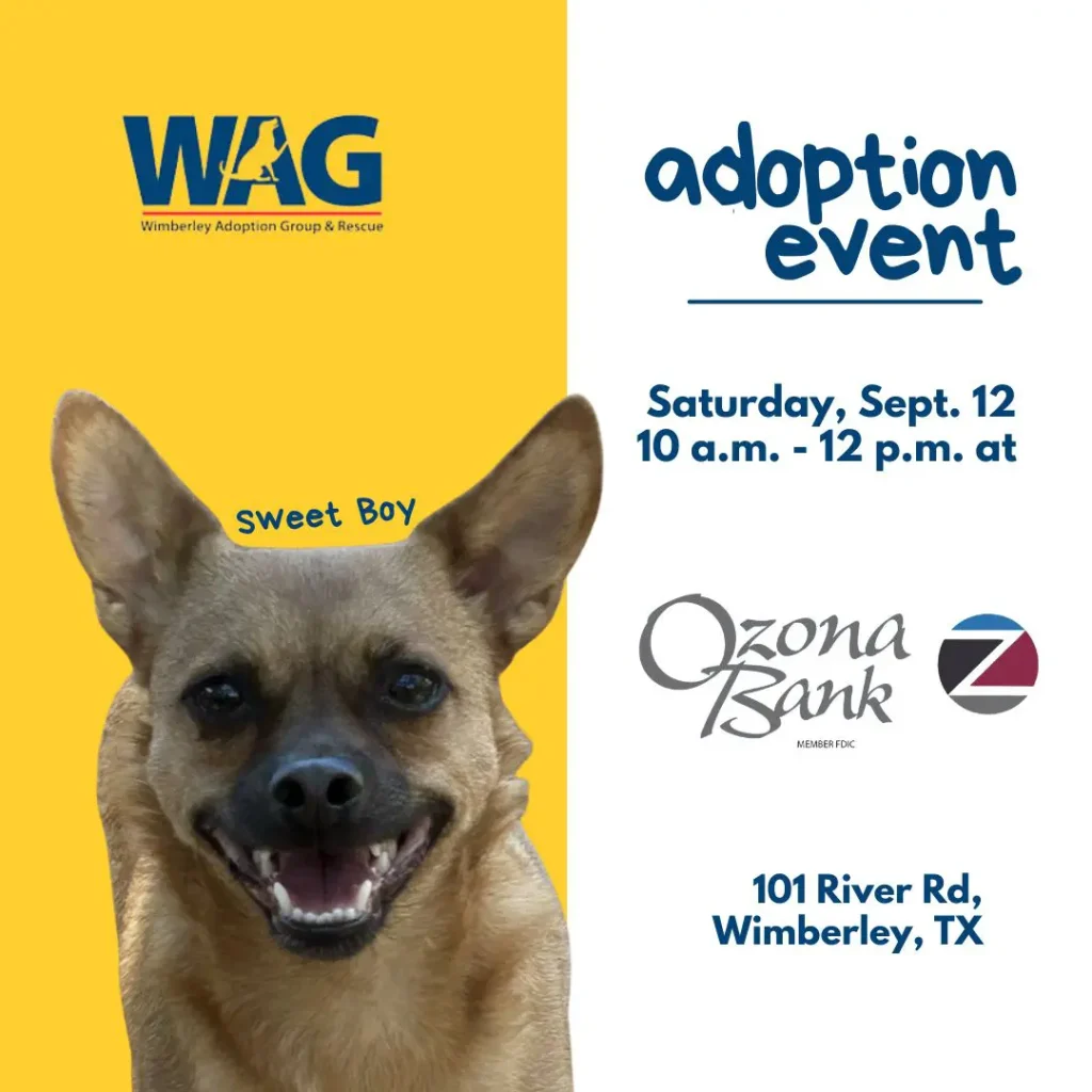 Adoption Event - September 12, 2026