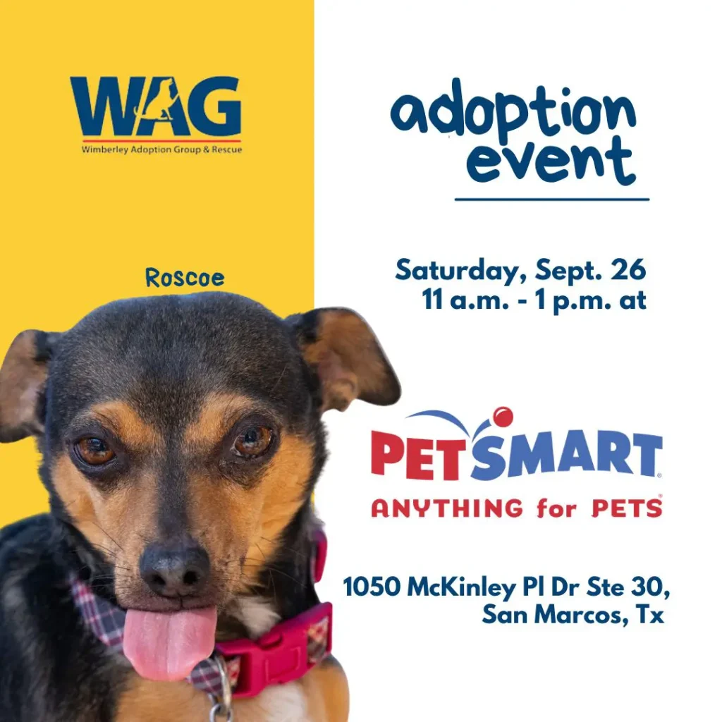 Adoption Event - September 26, 2026