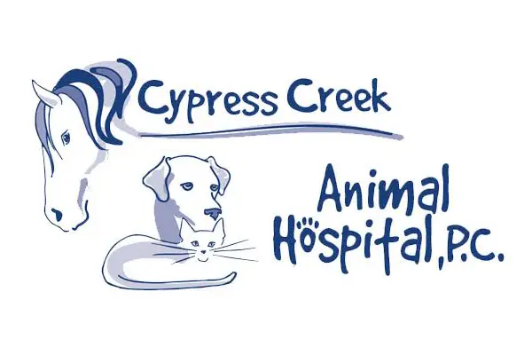 Cypress Creek Animal Hospital – Dr. Todd Henry
